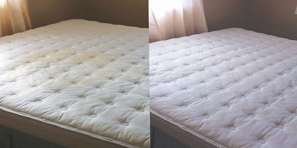 Remove Urine Spots From A Mattress