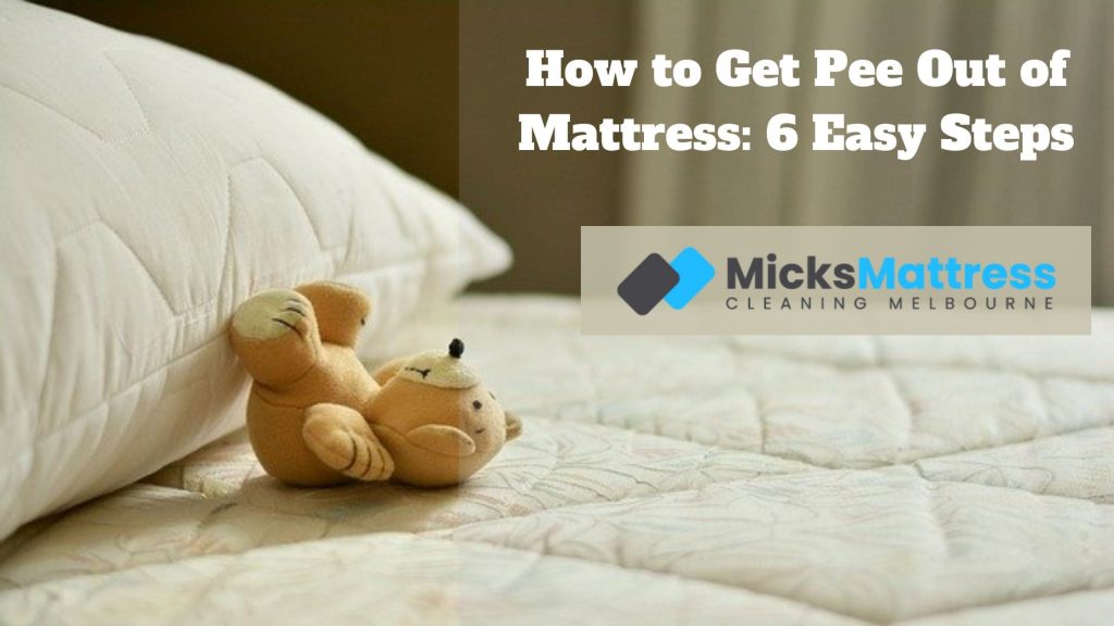 How to Get Pee Out of Mattress: 6 Easy Steps