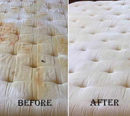 Our Mattress Cleaning Results