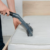 Air Mattresses Cleaning